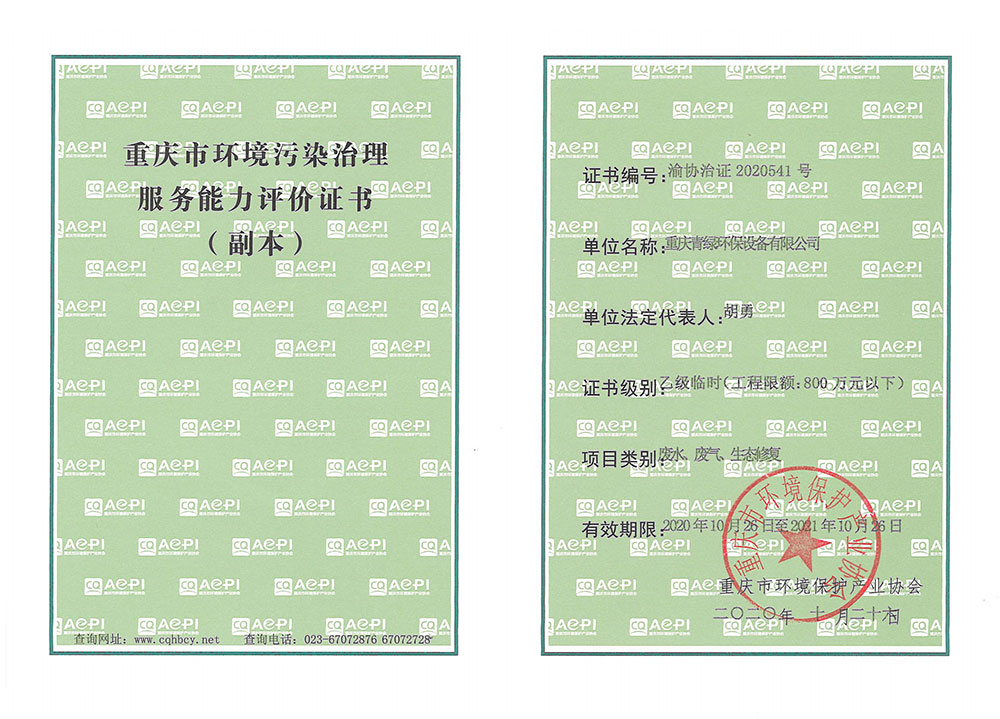 重慶市環(huán)境污染治理能力服務評價證書